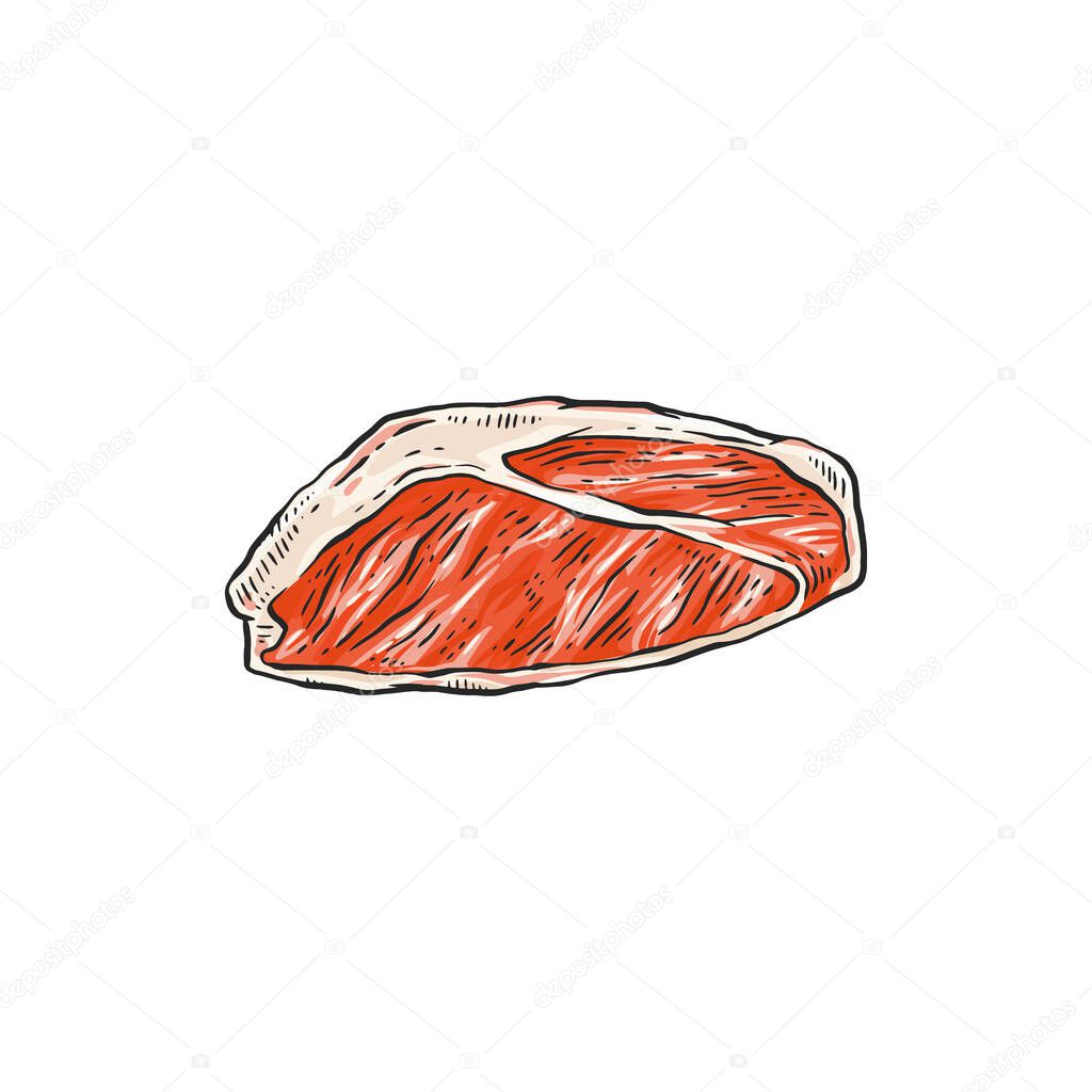 Peace of raw red meat - beef, pork, lamb vector sketch illustration isolated.