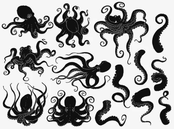 Black octopus silhouette set isolated on white background — Stock Vector