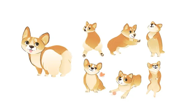 Set van Welsh Corgi hond staande en zittend in verschillende poses cartoon stijl — Stockvector