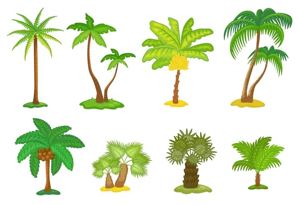 Conjunto de iconos de dibujos animados de palmeras verdes tropicales, ilustración vectorial aislada . — Vector de stock