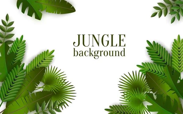 Green tropical jungle background with leaves, summer frame. — 图库矢量图片