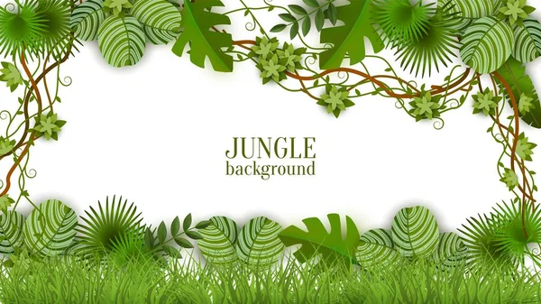 White jungle background with green palm leaves and liana vines - realistic exotic nature foliage on blank rectangle text template — 图库矢量图片