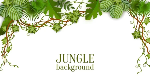 Tropical jungle lianas vine and palm leaves banner vector illustration isolated. — Stock Vector