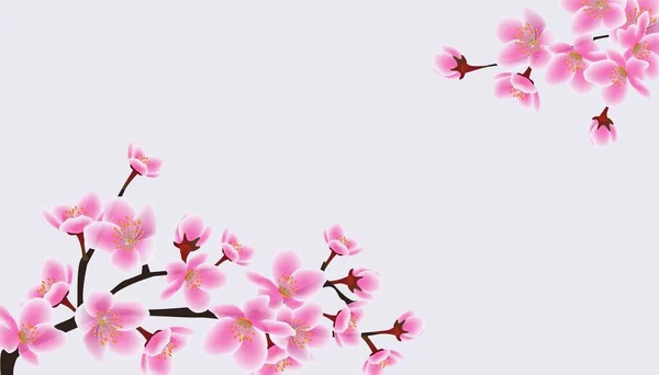 Banner de árvore sakura flor de cerejeira com espaço em branco cópia — Vetor de Stock