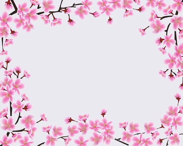 Quadro de ramos sakura florescentes com espaço em branco . — Vetor de Stock