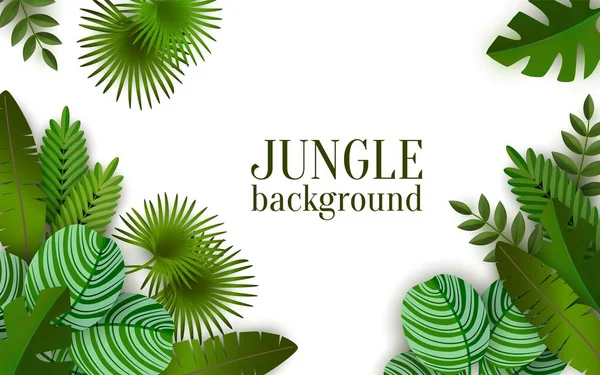 Summer tropical forest and jungle frame for green background with space for text. — 图库矢量图片