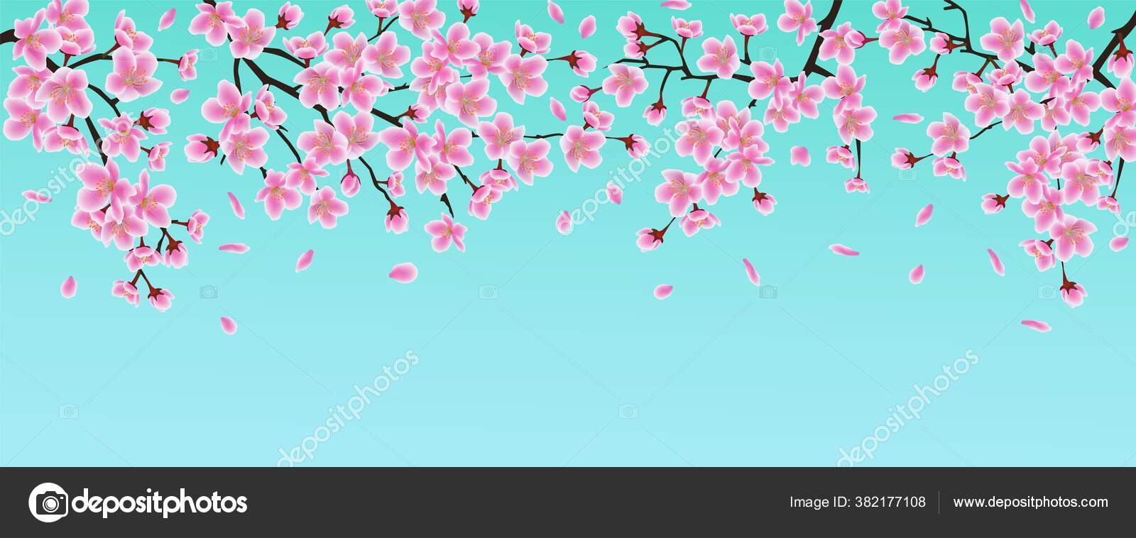 Spanduk Bunga Sakura Merah Muda Dengan Cabang Bunga Sakura Stok