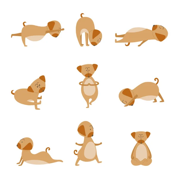 Cartoon dog in yoga pose set- cute animal meditating, stretching and training — Stock Vector