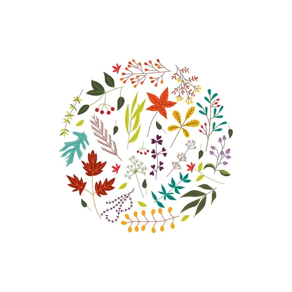 Φθινόπωρο πολύχρωμα φύλλα και μούρα που συλλέγονται σε μορφή κύκλου που απομονώνεται σε λευκό φόντο. — Διανυσματικό Αρχείο
