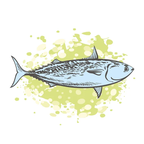 Vector bosquejo atún peces bajo el agua comida marina animal — Vector de stock