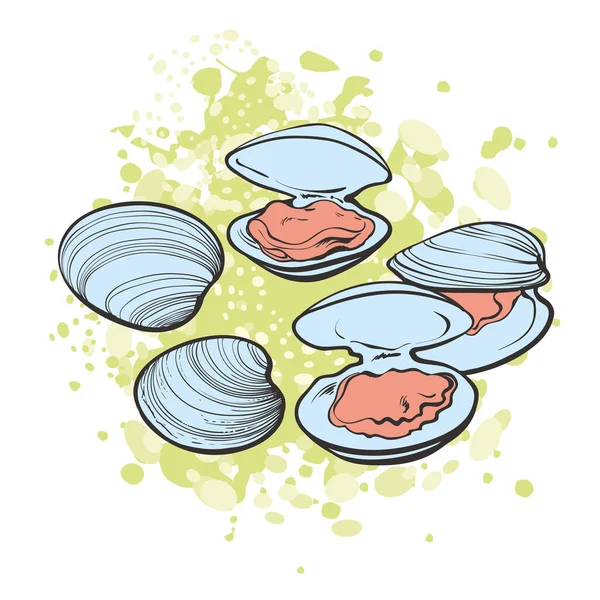 Conjunto de ilustración vectorial de mejillones abiertos y cerrados listos para comer en estilo sketch . — Archivo Imágenes Vectoriales