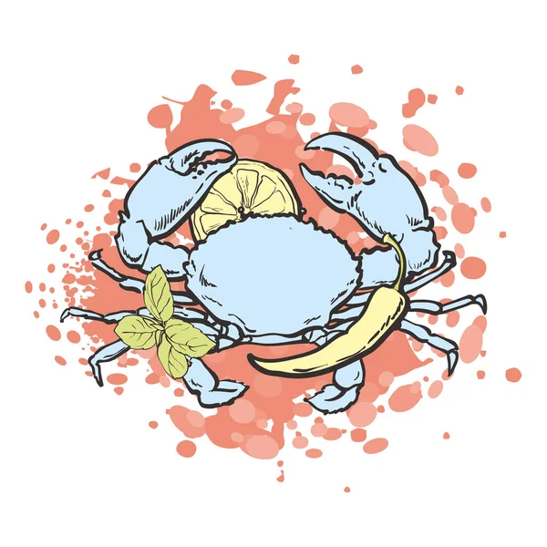 Ilustración vectorial de cangrejo con limón y especias en estilo sketch . — Vector de stock