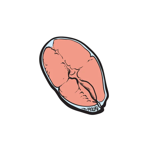 Illustration vectorielle de steak de poisson rouge dans le style croquis. — Image vectorielle