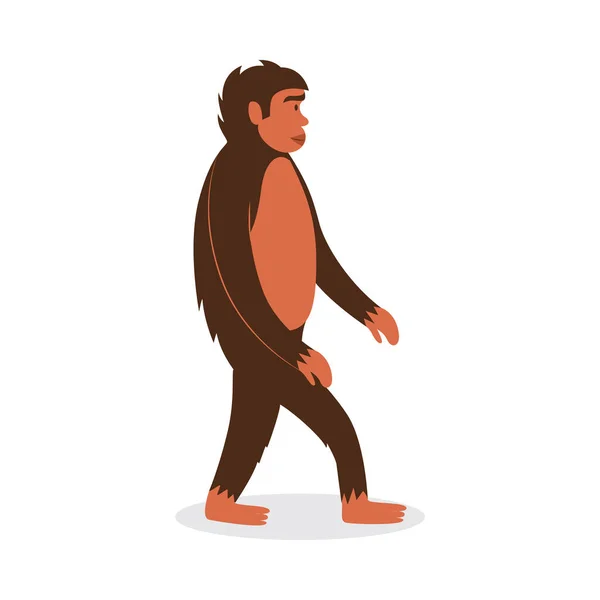 Cartoon monkey or ape standing or walking isolated on white background — Stock Vector