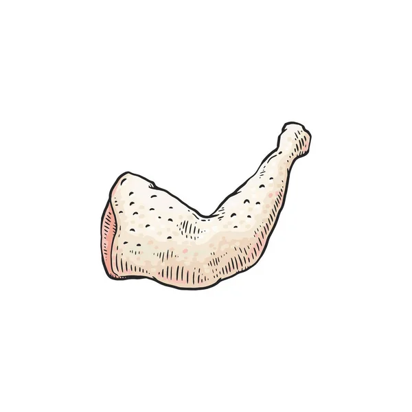 Syrové ručně kreslené čerstvé kuřecí stehno, bio jídlo. — Stockový vektor