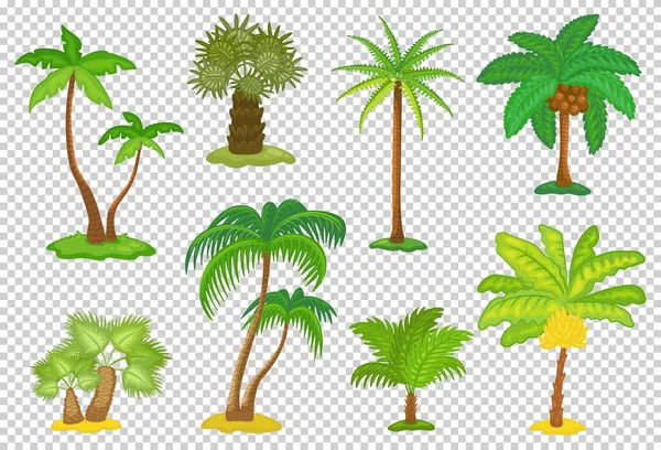 Set of tropical palm trees cartoon icons, flat vector illustration isolated. — Stock Vector