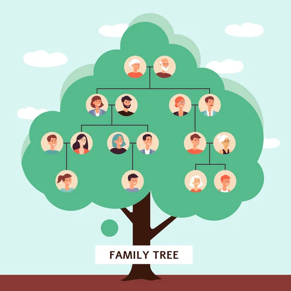 WebDrzewo genealogiczne z rysunkami starego ojca i matki rozpoczynających łańcuch genealogiczny dzieci — Wektor stockowy