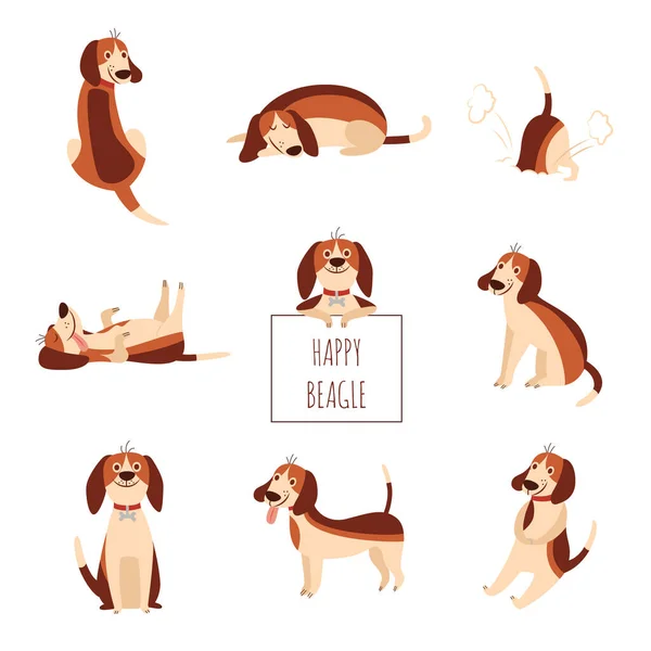 Lindo perro beagle o cachorro conjunto de ilustración plana vector de dibujos animados aislado en blanco. — Vector de stock