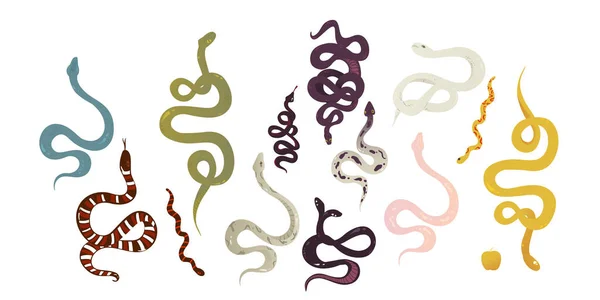 Conjunto de tipos de serpientes y reptiles - ilustración vectorial de dibujos animados aislada — Vector de stock