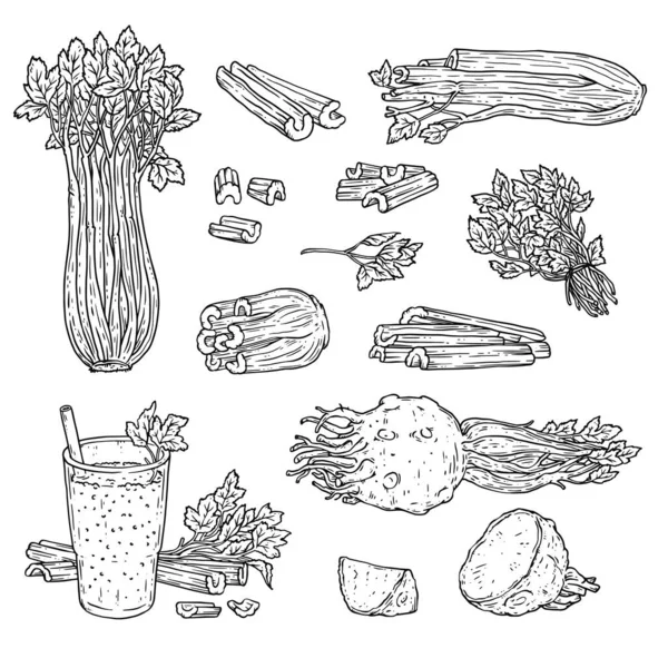 Juego de dibujo de línea de apio - vegetales enteros, tallos picados, raíz, bebida de batido — Archivo Imágenes Vectoriales