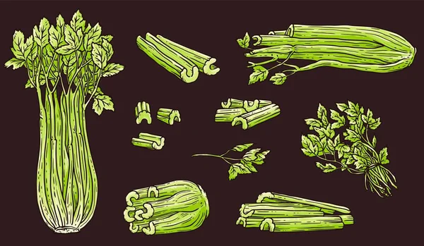 Kereviz çizim seti - yeşil bütün ve doğranmış sebze ve yapraklar koleksiyonu — Stok Vektör