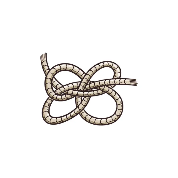 Noeud de corde marin à quatre boucles isolé sur fond blanc. — Image vectorielle