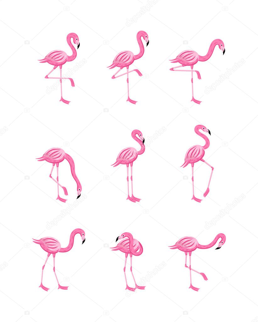 Set of pink flamingo in various poses flat cartoon vector illustration isolated.