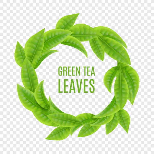 Grüner Tee Blätter Kranz Rahmen isoliert auf transparentem Hintergrund — Stockvektor