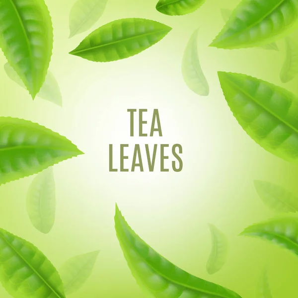 Banner ou cartaz de fundo com chá verde deixa ilustração vetorial realista. — Vetor de Stock