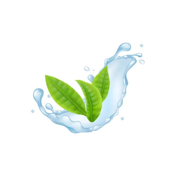 Πράσινα φύλλα στο στοιχείο πιτσιλίσματος νερού, ρεαλιστική διανυσματική απεικόνιση απομονωμένη. — Διανυσματικό Αρχείο