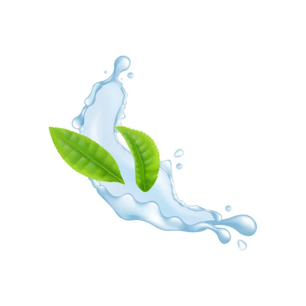 Zöld tealevelek repülő víz splash alakú elszigetelt fehér háttér — Stock Vector