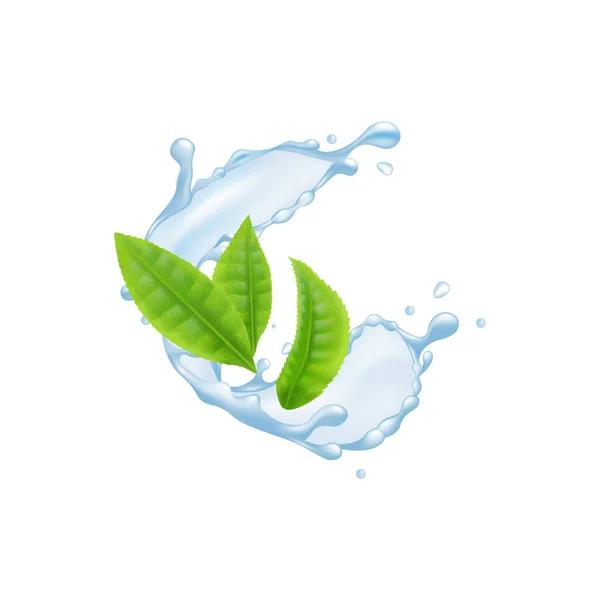 Groene thee bladeren drijven in water splash realistische vector illustratie geïsoleerd. — Stockvector