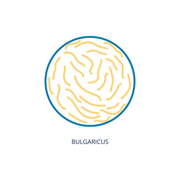 불가리 쿠스 박테리아 (Bulgaricus bacteria) 는 고립 된 일종의 장식물적 프로 바이오 틱 (probiotic) 벡터 일러스트입니다. — 스톡 벡터