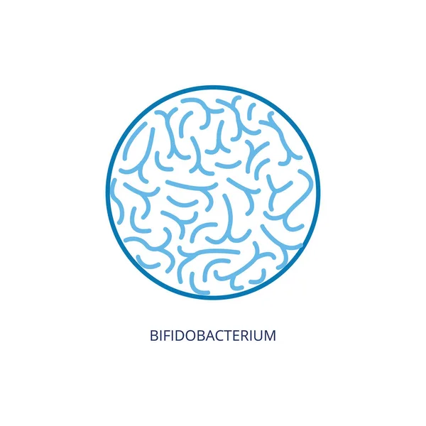 Icono de la bifidobacteria - vista del microscopio de bacterias probióticas — Vector de stock