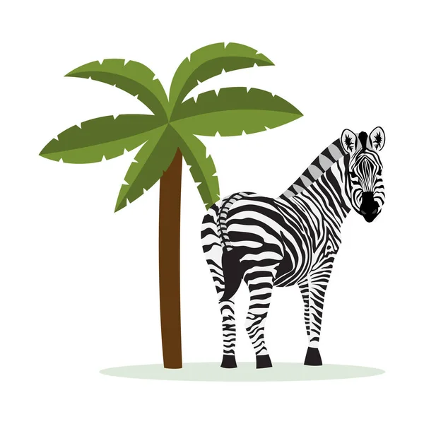 Cartoon zebra standing by tropical palm tree - flat vector illustration — Stock Vector