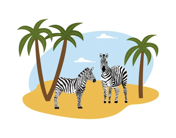 Couple of zebras on savanna landscape layout flat vector illustration isolated. — Stock Vector