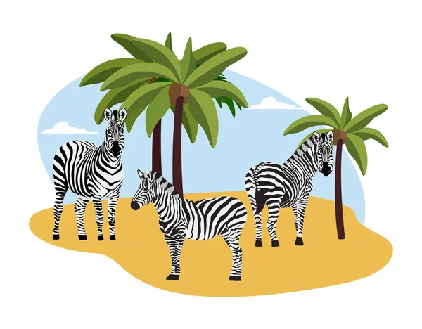 Afrikanska landskap bakgrund med zebror platt vektor illustration isolerad. — Stock vektor