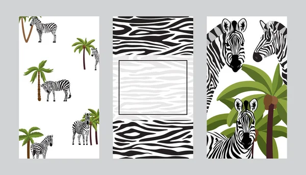 Uppsättning mallar med zebra och randigt mönster platt vektor illustrationer som. — Stock vektor