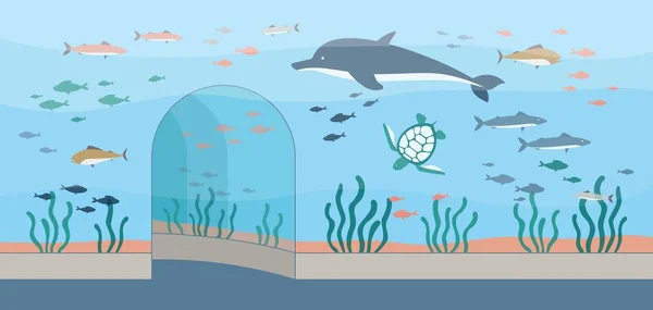 Oceanario o sfondo acquario con pesci e piante illustrazione vettoriale. — Vettoriale Stock