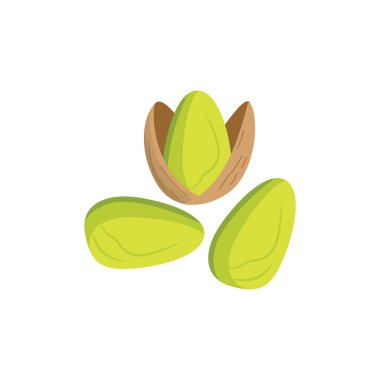 Peeled and in shell pistachios nuts flat vector illustration isolated on white. clipart