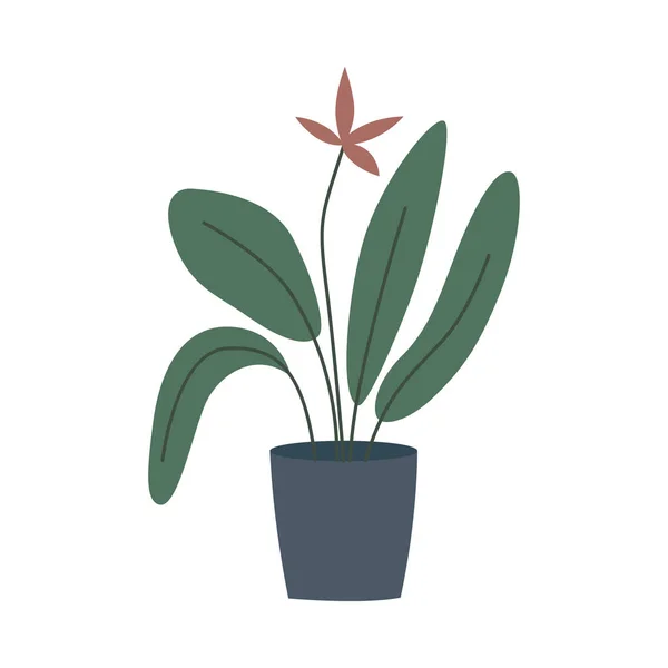 Plante maison en pot avec de grandes feuilles vertes et fleur — Image vectorielle