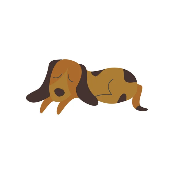 Brown chien endormi, animal de compagnie dessin animé mignon couché et faisant une sieste — Image vectorielle