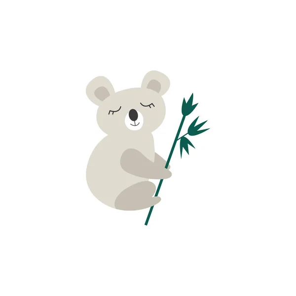 Wektor ilustracja cute koala niedźwiedź izolowany na białym tle. — Wektor stockowy