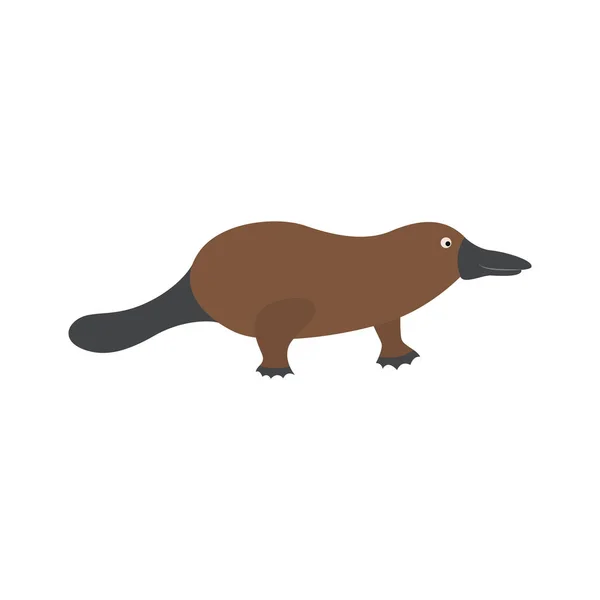오리너구리 (Platypus) 또는 오리너구리 (duckbill) 숲 쥐 (australian) 동물 만화 벡터 삽화. — 스톡 벡터