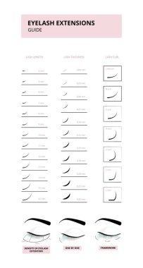 Kirpik uzatma rehberi sahte kirpik vektör illüstrasyonunun türlerini betimler.