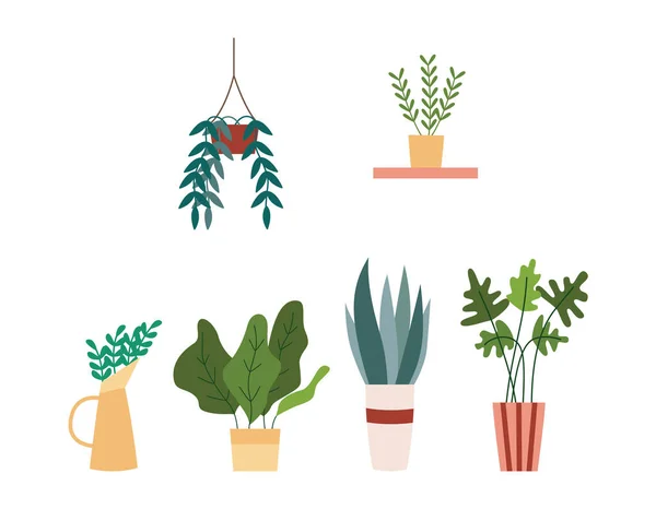 Házi növények cserépben és ültetvényen, lapos vektoros illusztrációkból elkülönítve. — Stock Vector