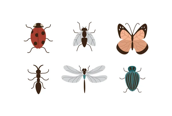 Зображення набір комах і садових рослин шкідників плоскі Векторні ілюстрації ізольовані . — стоковий вектор