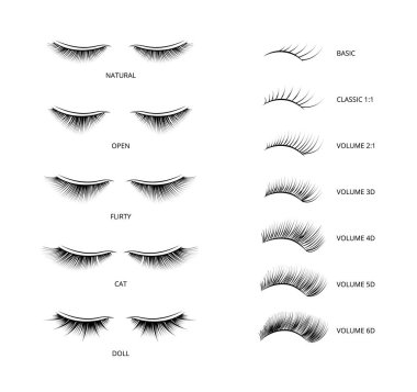 Banner with kinds of false lashes for extension vector illustration isolated. clipart