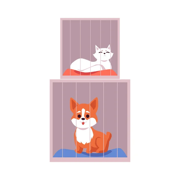 Gaiolas com animais de estimação em abrigo animal ou loja de veterinário ilustração vetorial plana isolado. — Vetor de Stock