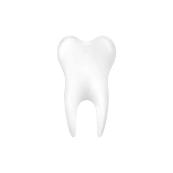 White and healthy human tooth realistic vector illustration isolated on white. — Stock Vector